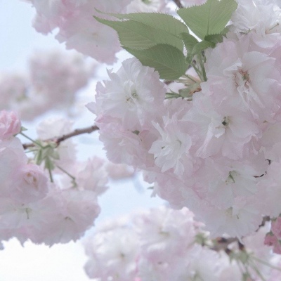 潢川福瑞交流群